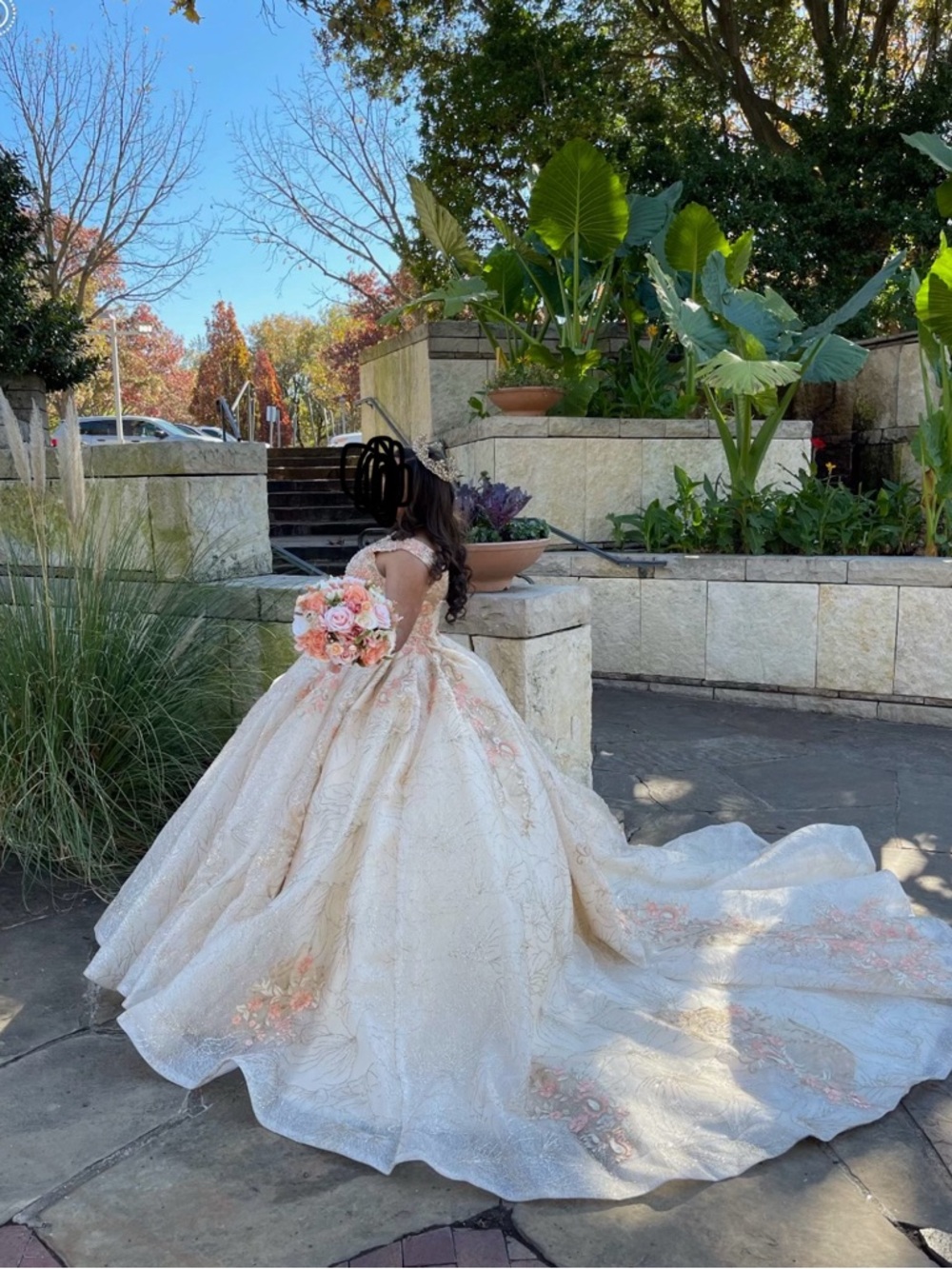 RAGAZZA Ivory Ball Gown with Blush Floral Embroidery
